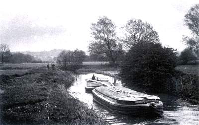 wormingfordcut.jpg